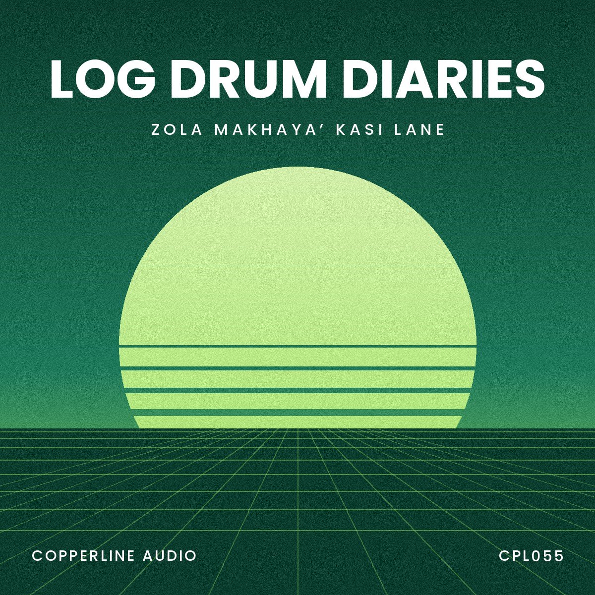 Log Drum Diaries (Original Mix)